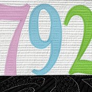 Speeding crop w logo 300